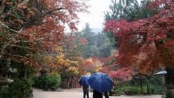 第5回? 早朝ウォーキング_7195.jpg