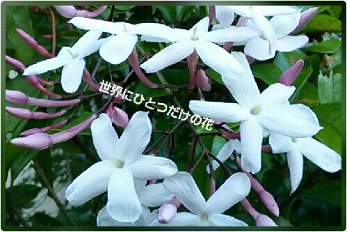 rblog-20160523214339-00.jpg