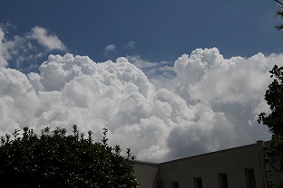 E7D_9216-2.jpg