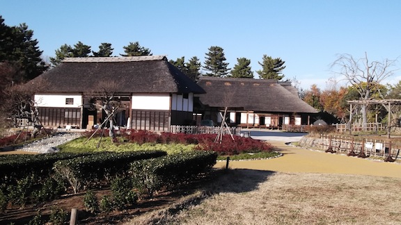 昭和記念公園056