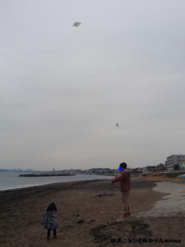 DSC_0414.jpg