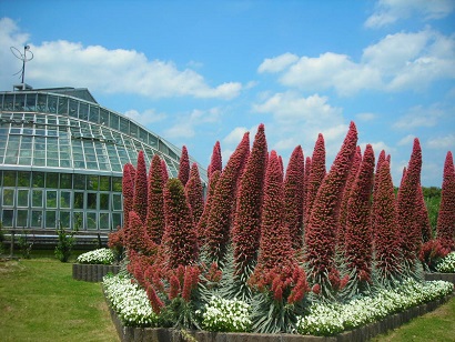 2016京都府立植物園