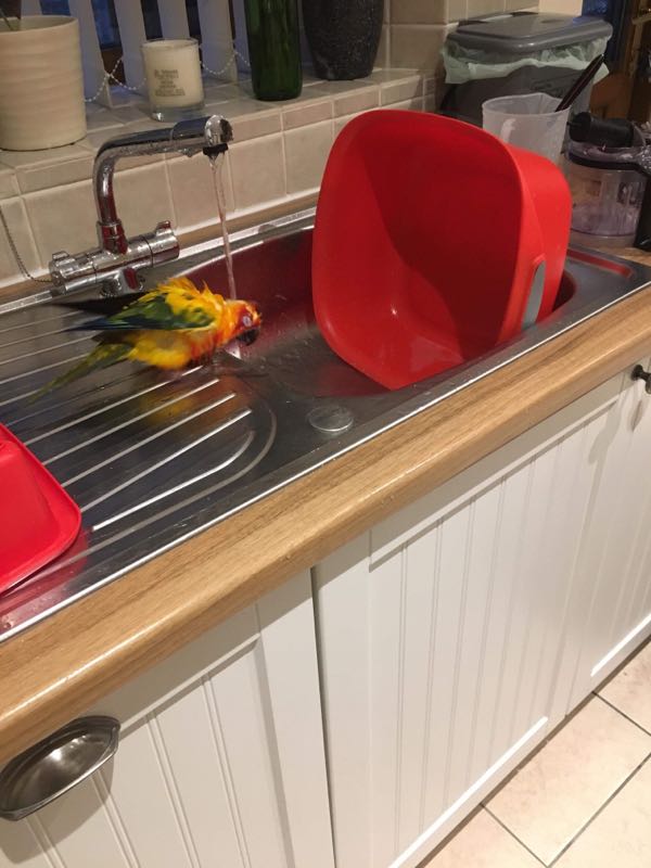 rblog-20190225204443-02.jpg