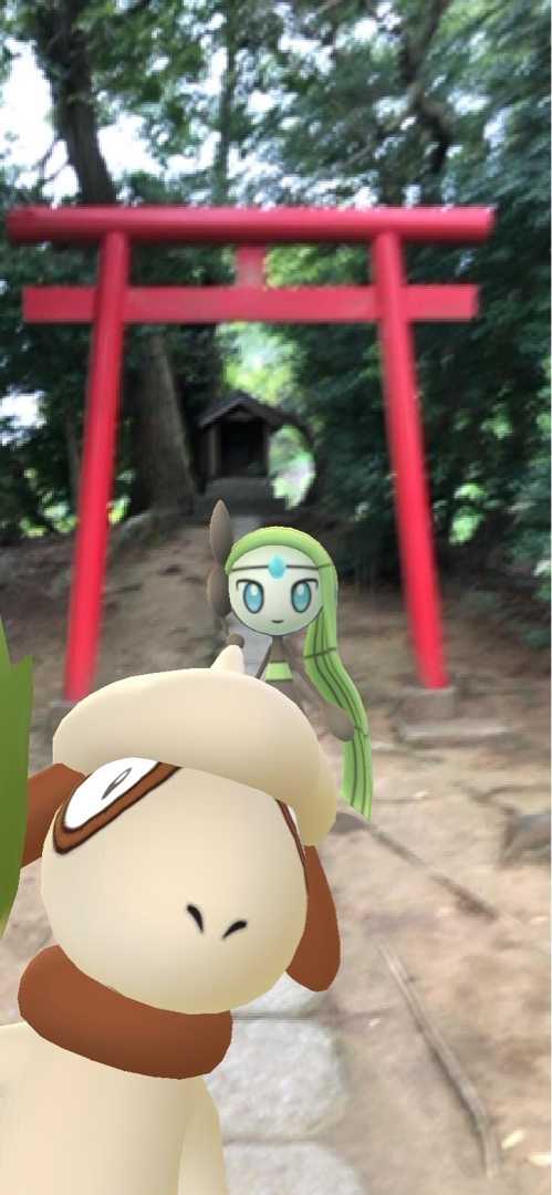 フーパスペシャルリサーチ ポケ活 楽天ブログ
