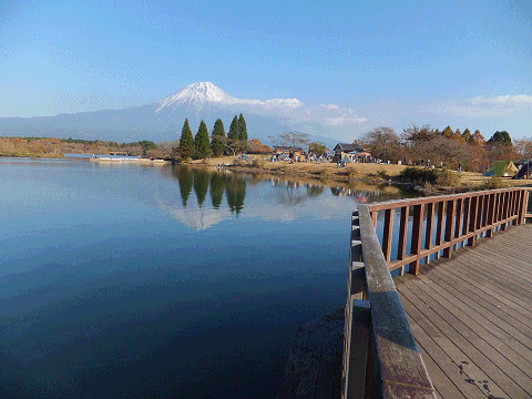 20141123tanukiko2.gif