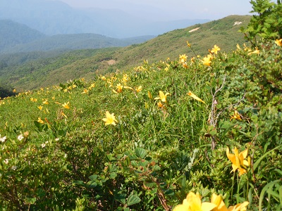 白木峰６.jpg