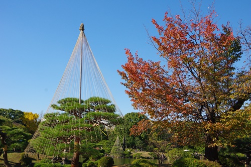 清澄庭園