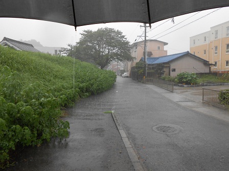 ９雨の道中（２）.JPG