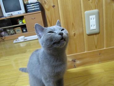 たんじょうびだよ～いいかおして.JPG