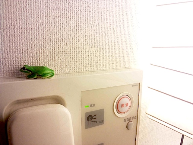 130608_193301.jpg