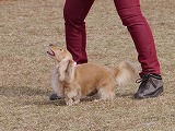 20121104132108[1].jpg