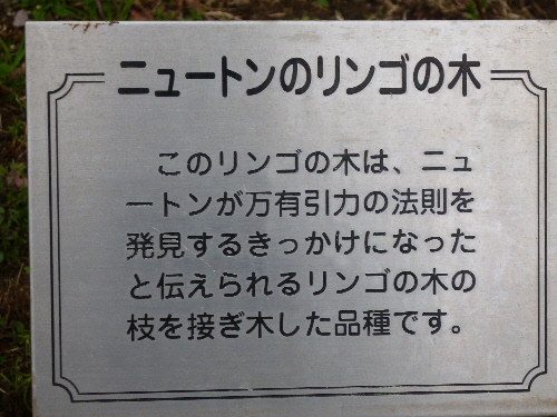 P1150213(1).JPG