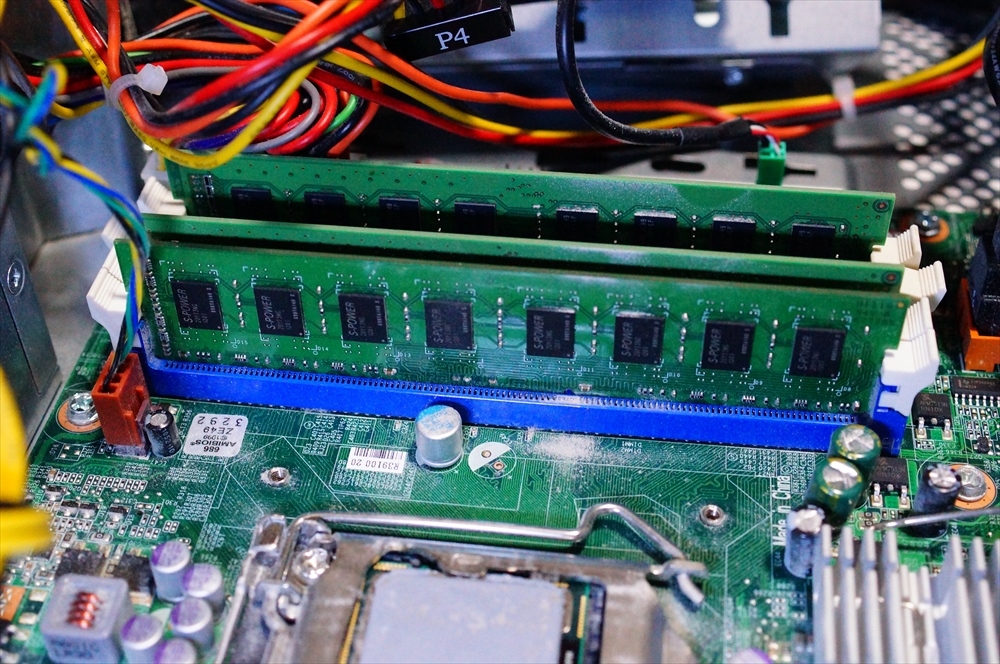 RDSC08709_R_R.JPG