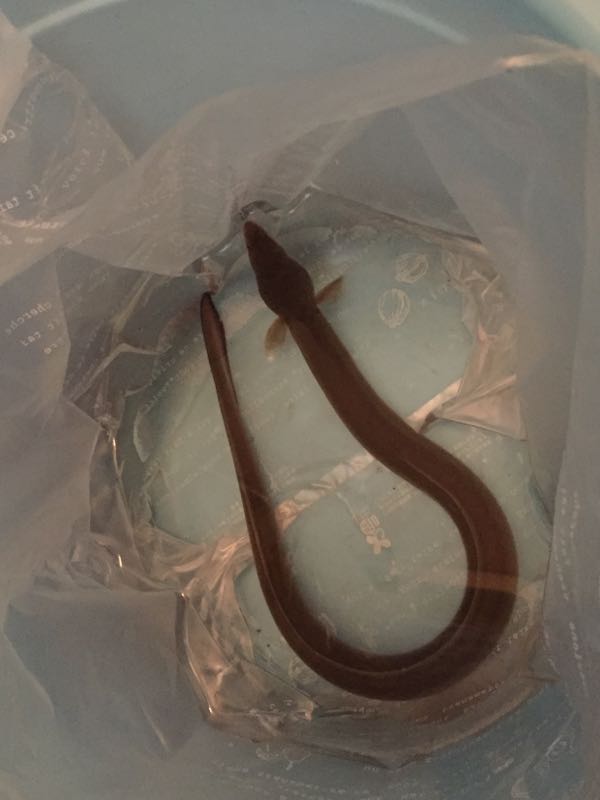 rblog-20150629193911-01.jpg