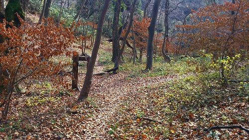 20141128七ツ森鎌倉山遊歩道へ出る.jpg