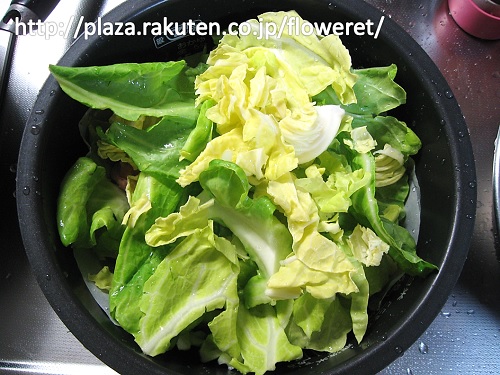 カルア・チキン3.jpg