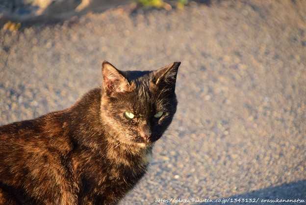 ローマ人は皇帝に放っておいてもらうために賄賂を支払った
