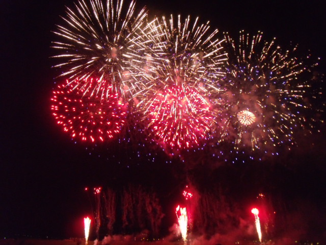 新明花火 (12).JPG