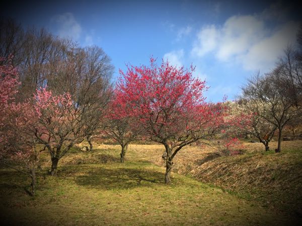 rblog-20160308142958-02.jpg