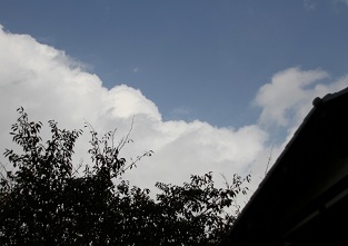 E7D_9950-2.jpg