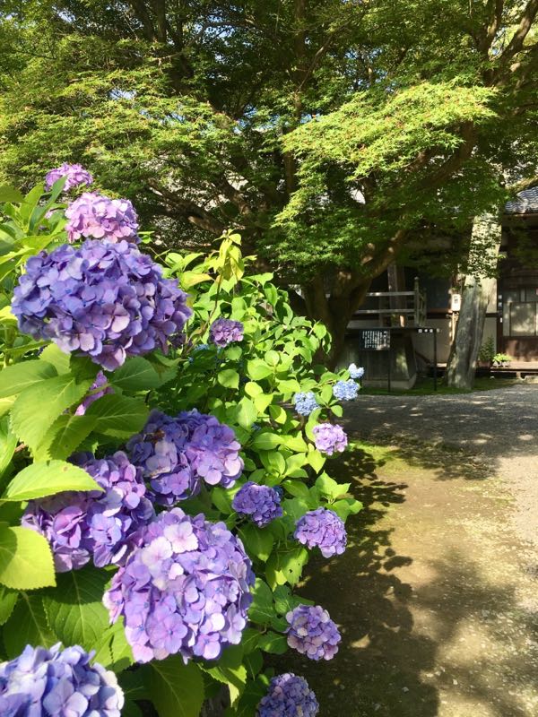 rblog-20180624234523-06.jpg