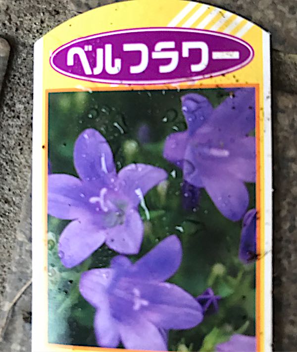 rblog-20180328191552-01.jpg