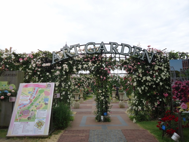 DSC03295 (640x480).jpg