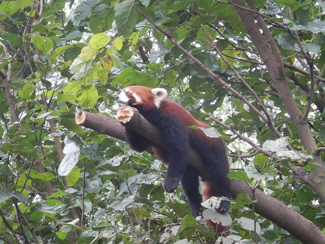 PA010068000.jpg
