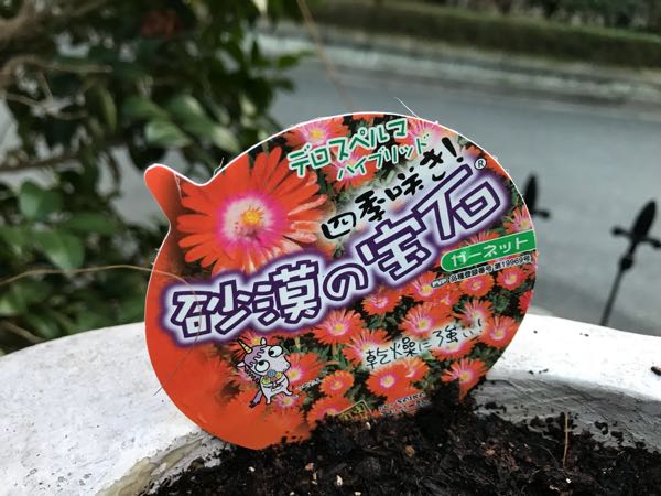 rblog-20180328191025-02.jpg