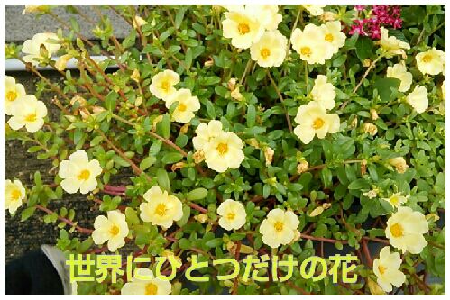 rblog-20160924110209-00.jpg