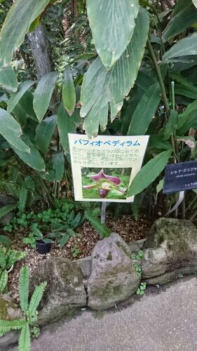 rblog-20180601214436-01.jpg