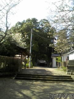 参道