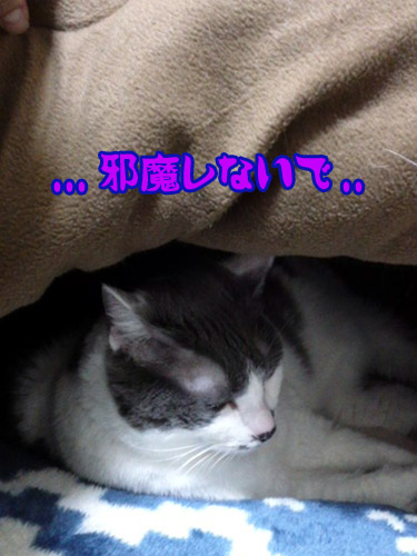 141228_2002~01.jpg