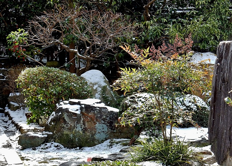 庭の雪6.JPG