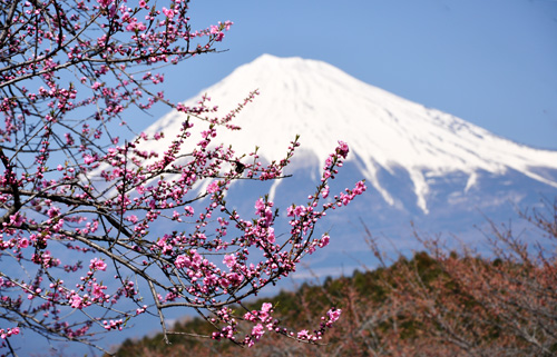 富士山4