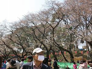 IMG_1961b.jpg