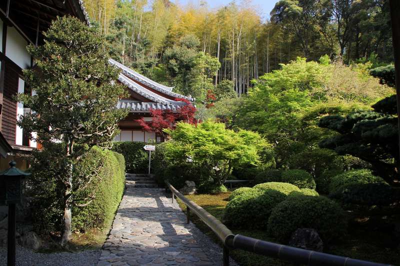 松虫寺_2.jpg