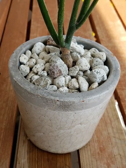 rblog-20180423144200-04.jpg