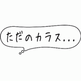 ただのカラス・・・.gif