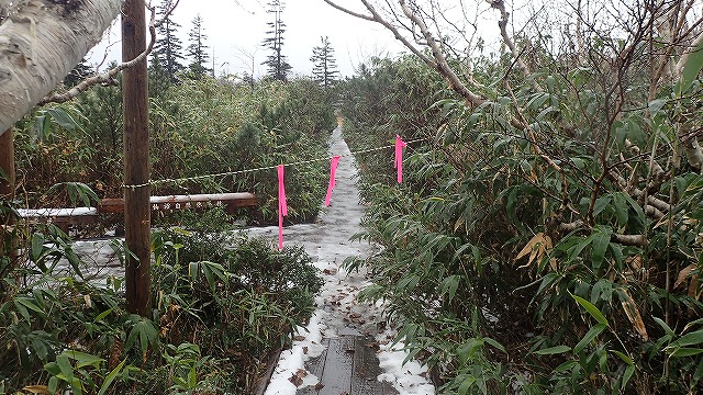 PA221583　13：08入山禁止処置！.jpg