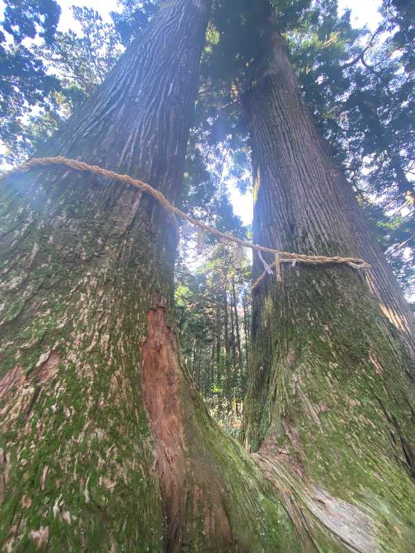 竜爪山（りゅうそうざん・1051m）（1）龍が爪を落とした山 | 醍醐山と下部（しもべ）温泉 - 楽天ブログ