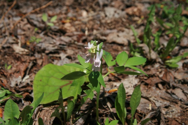 2016・5・13 018600.jpg