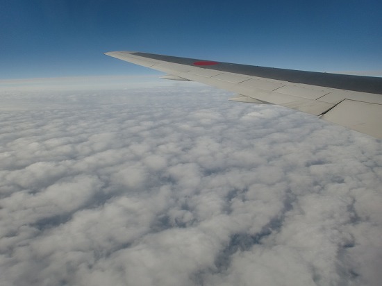 s-CIMG9079.jpg