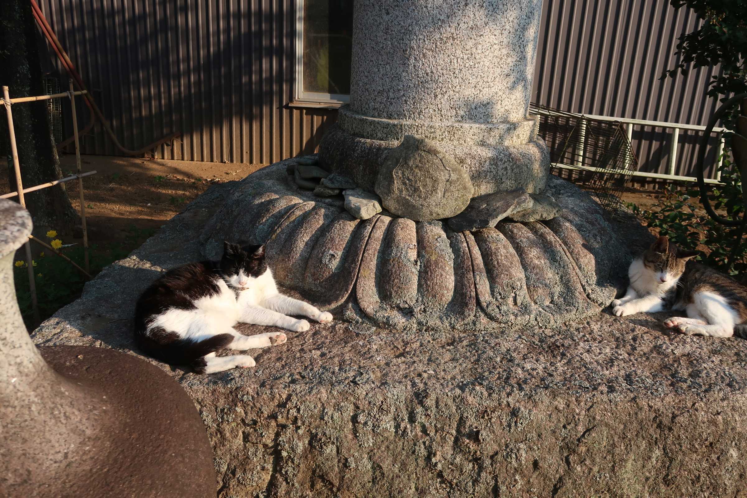 出歯亀です | 人生は冥途までの暇つぶし。 - 楽天ブログ