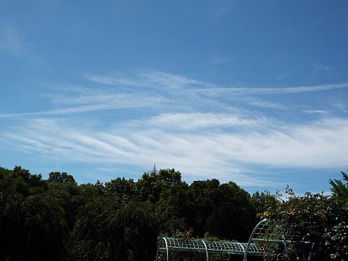 sora-15-06-28-106-b.jpg