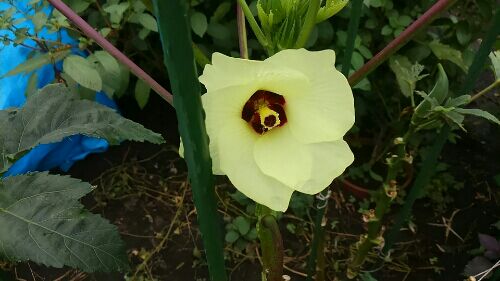 rblog-20160911193744-09.jpg
