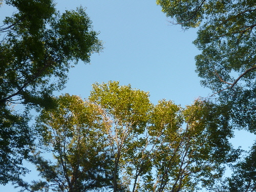 P1120971(1).JPG