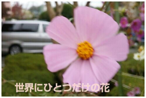 rblog-20161110212155-00.jpg