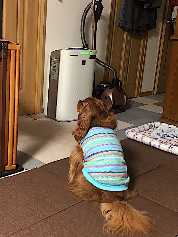 rblog-20180411043159-03.jpg