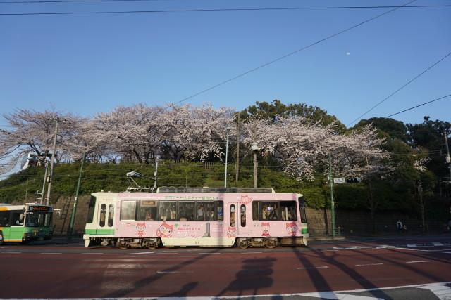 桜と 都電 都バスの 離合2